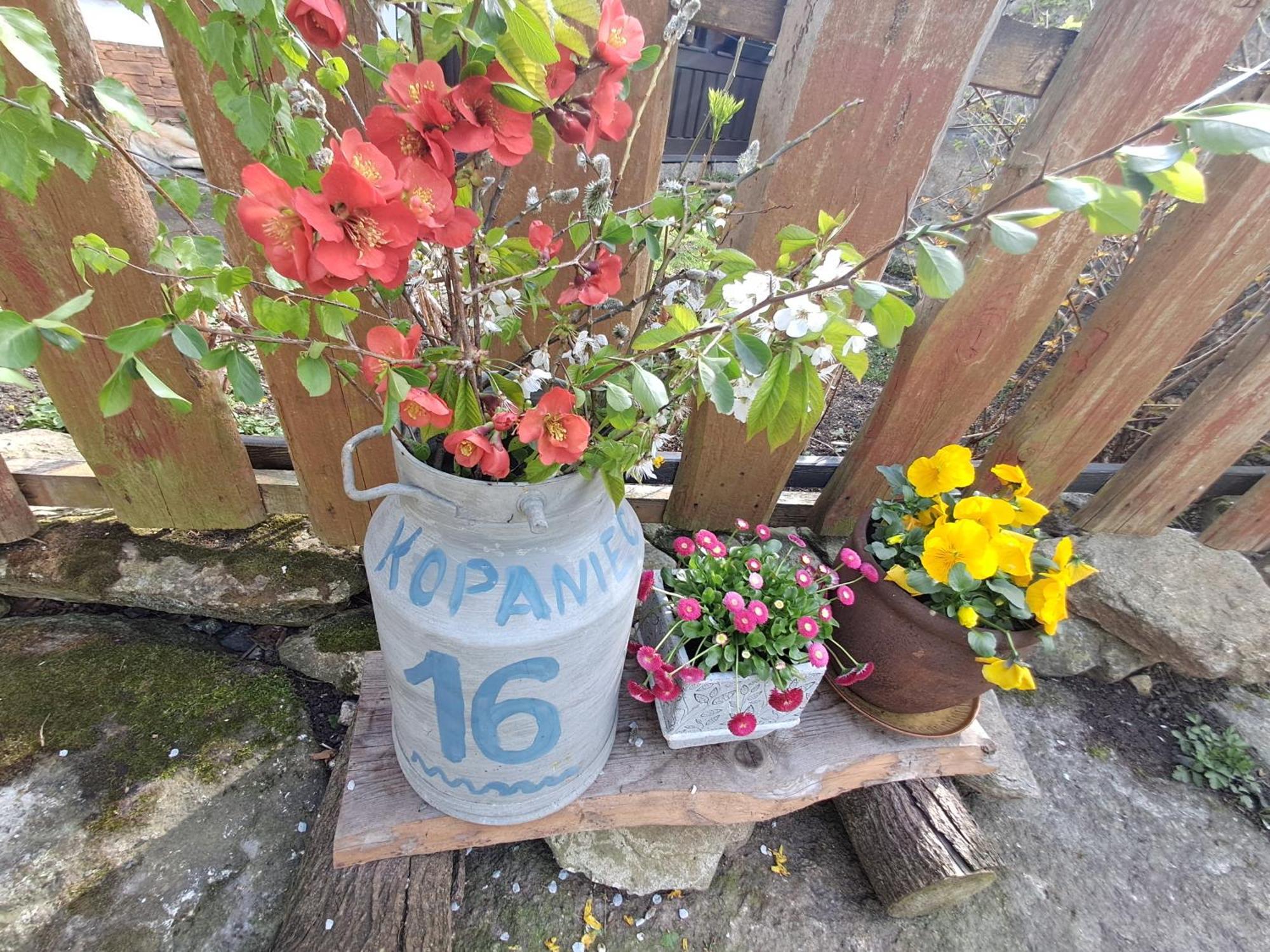 KopaniecPrzytulia Blekitnyアパートメント エクステリア 写真